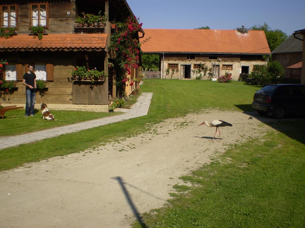 Iza Na Trem Apartment Cigoc